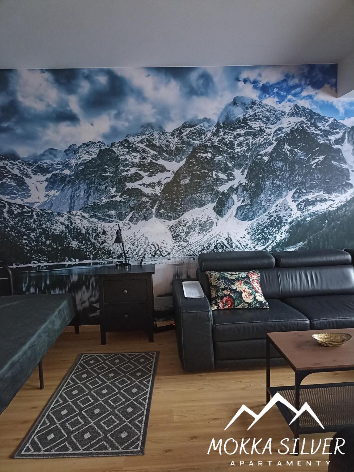 Mokka Silver Spa & Ski Apartamenty Na Viva Maria Zakopane Exterior foto