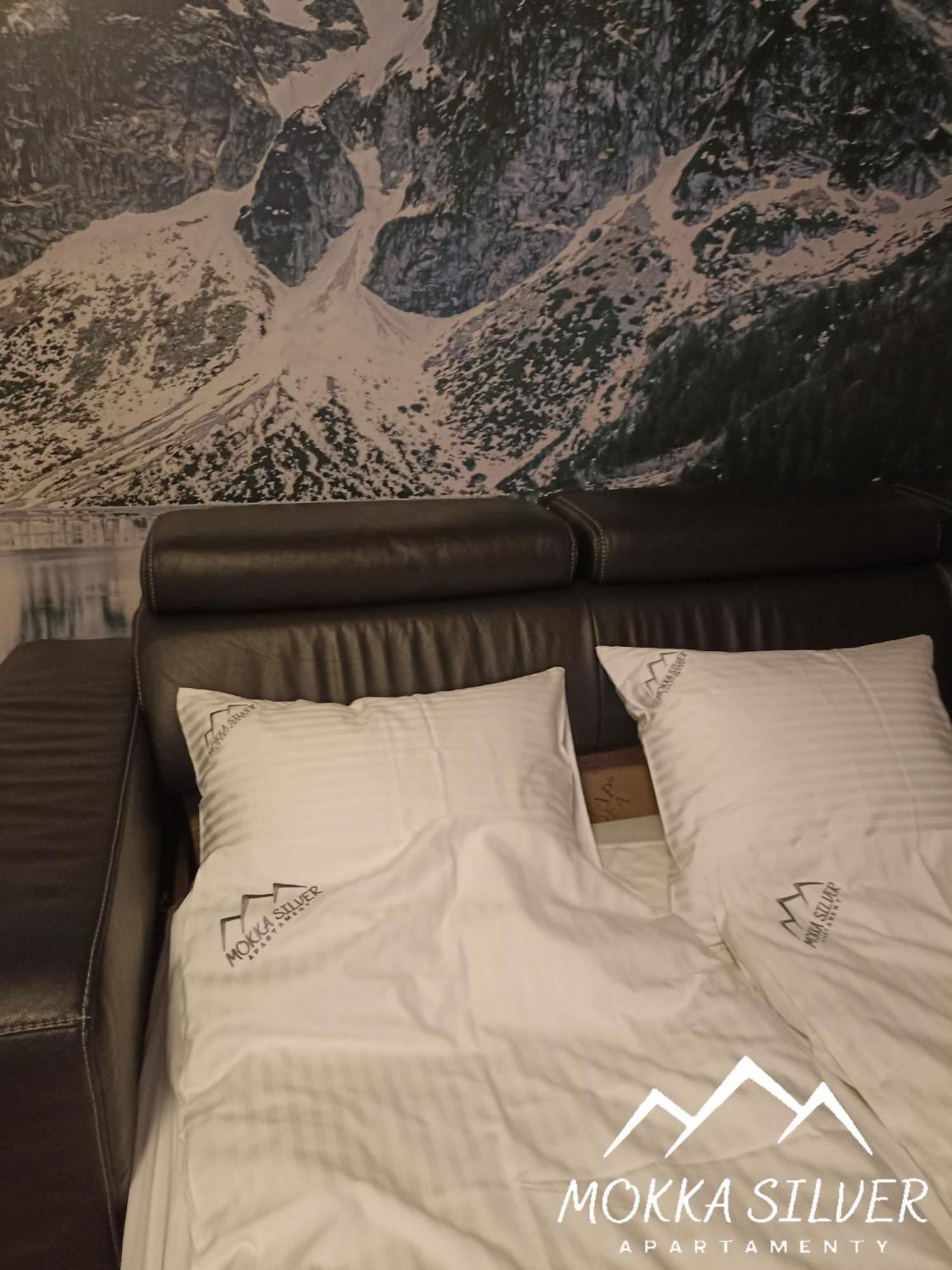 Mokka Silver Spa & Ski Apartamenty Na Viva Maria Zakopane Zimmer foto