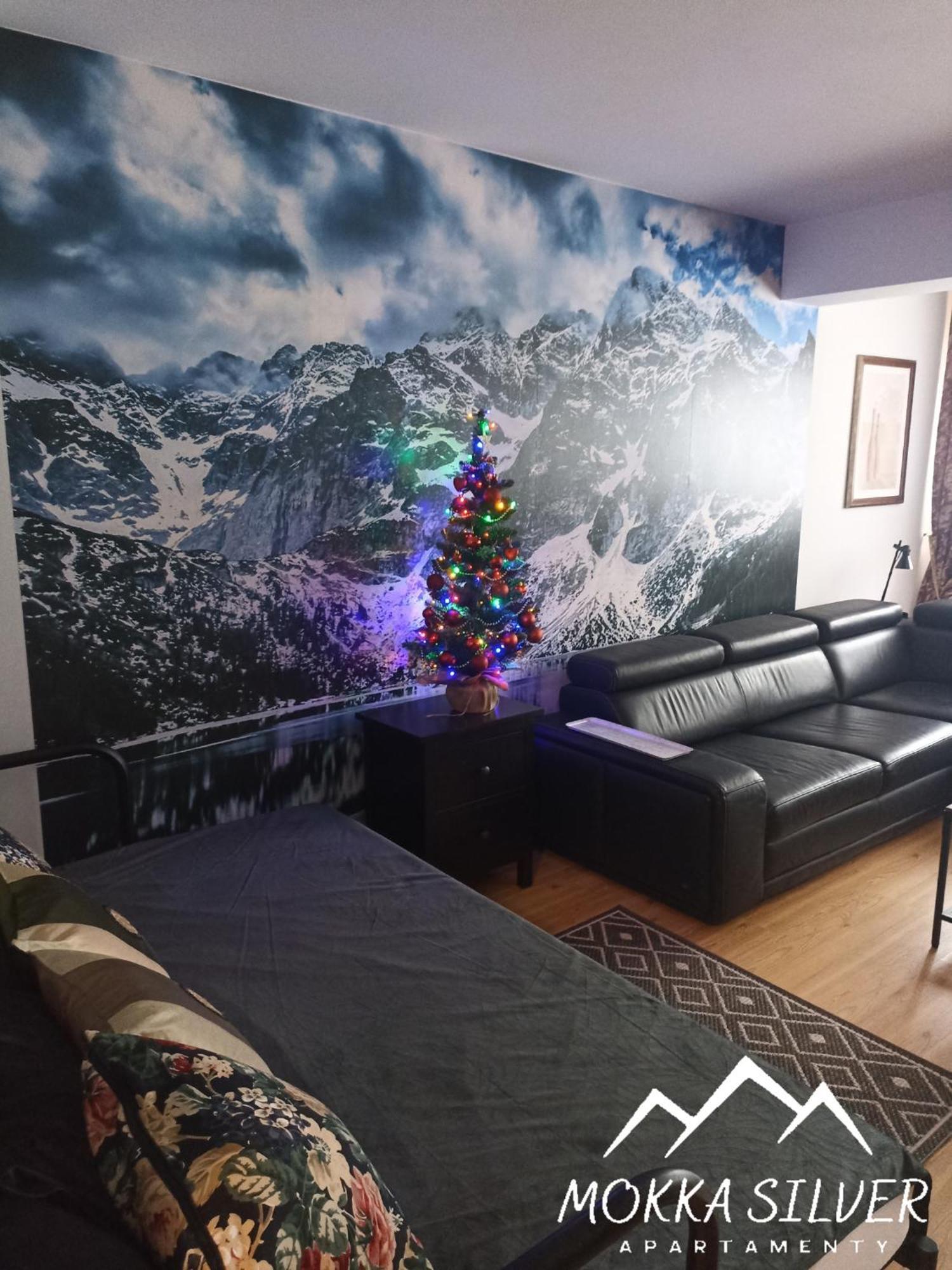Mokka Silver Spa & Ski Apartamenty Na Viva Maria Zakopane Zimmer foto
